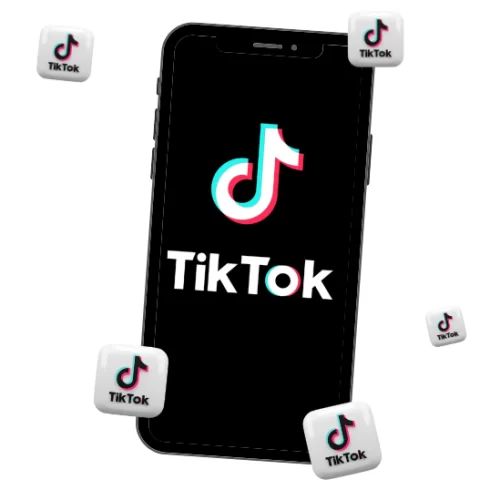 1000 Vues TikTok